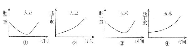 PG电子·游戏官方网站