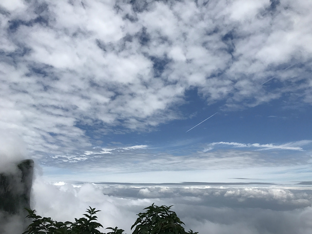 PG电子·游戏官方网站-张家港木材实验室对流通领域商品进行质